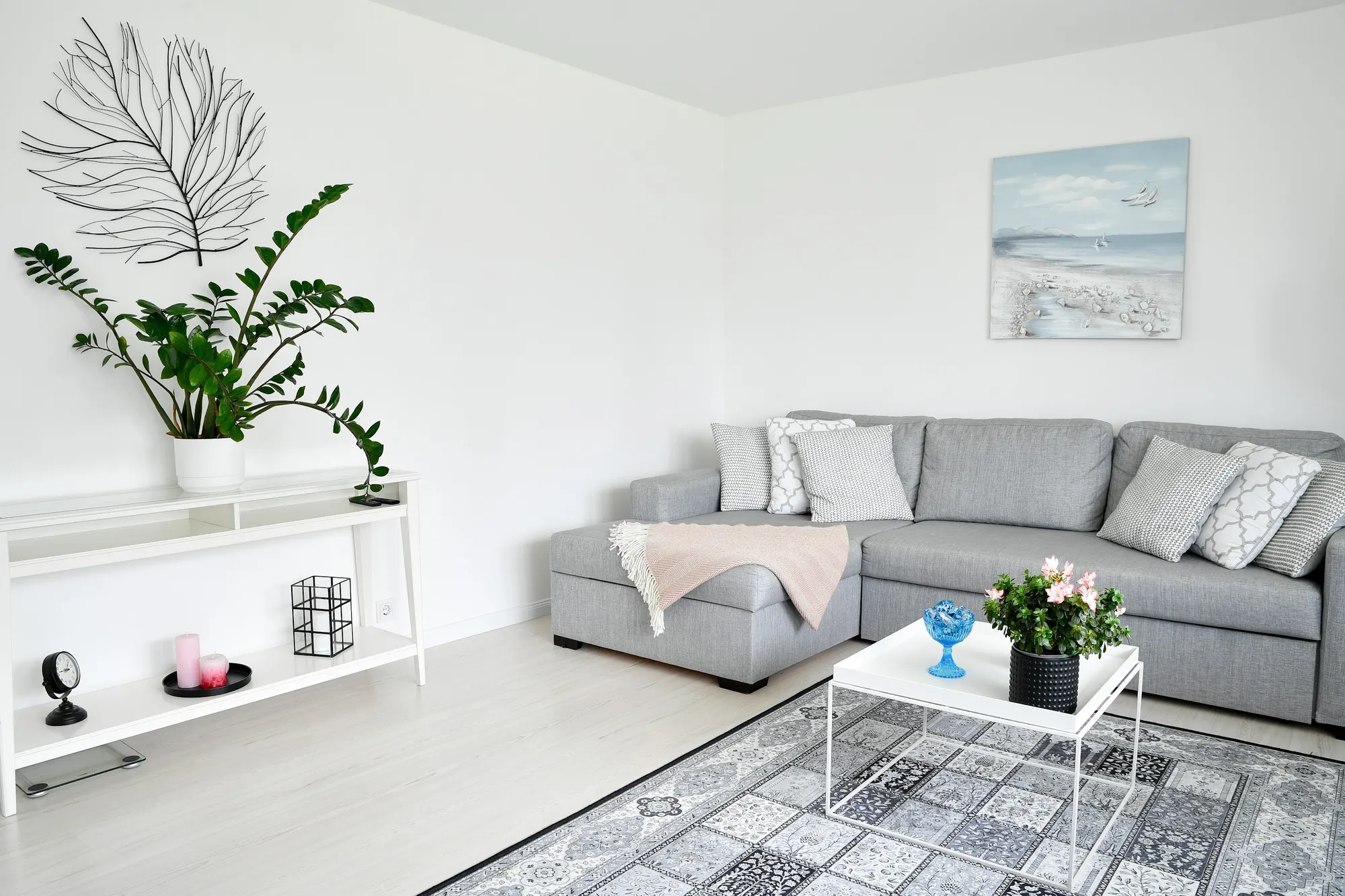 Jasny salon z sofą i roślinami